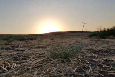 Diyarbakır köyünden gün batımı