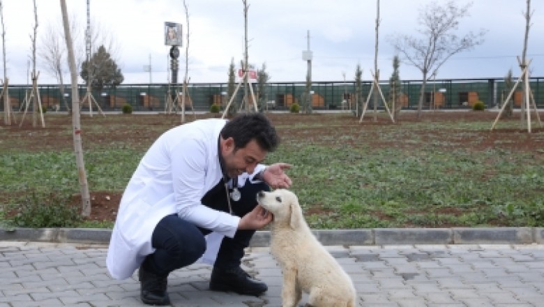 DBB, “Can Dostlara” şifa dağıtıyor