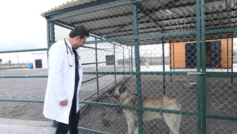 DBB, Can Dostlara şifa dağıtıyor