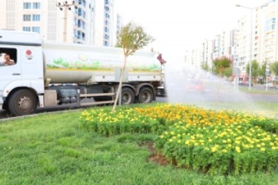 Aşırı sıcaklarda yeşil alanları koruma çalışmaları sürüyor